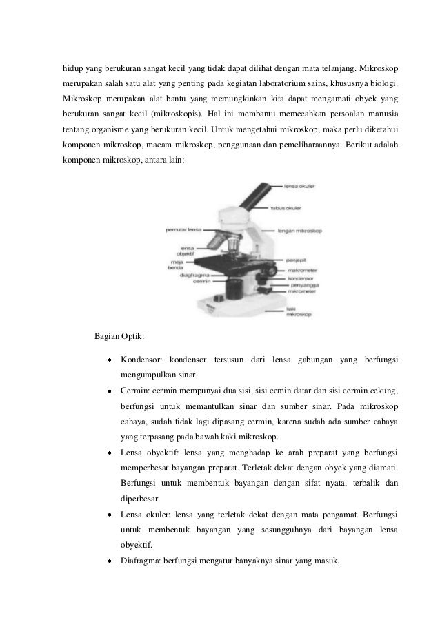 Laporan 1 Mikroskop