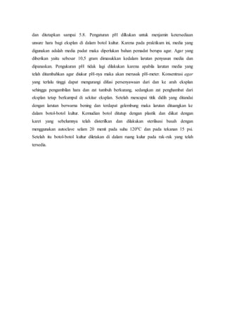 dan ditetapkan sampai 5.8. Pengaturan pH dilkukan untuk menjamin ketersediaan
unsure hara bagi eksplan di dalam botol kultur. Karena pada praktikum ini, media yang
digunakan adalah media padat maka diperlukan bahan pemadat berupa agar. Agar yang
diberikan yaitu sebesar 10,5 gram dimasukkan kedalam larutan penyusun media dan
dipanaskan. Pengukuran pH tidak lagi dilakukan karena apabila larutan media yang
telah ditambahkan agar diukur pH-nya maka akan merusak pH-meter. Konsentrasi agar
yang terlalu tinggi dapat mengurangi difusi persenyawaan dari dan ke arah eksplan
sehingga pengambilan hara dan zat tumbuh berkurang, sedangkan zat penghambat dari
eksplan tetap berkumpul di sekitar eksplan. Setelah mencapai titik didih yang ditandai
dengan larutan berwarna bening dan terdapat gelembung maka larutan dituangkan ke
dalam botol-botol kultur. Kemudian botol ditutup dengan plastik dan diikat dengan
karet yang sebelumnya telah disterilkan dan dilakukan sterilisasi basah dengan
menggunakan autoclave selam 20 menit pada suhu 1200C dan pada tekanan 15 psi.
Setelah itu botol-botol kultur diletakan di dalam ruang kulur pada rak-rak yang telah
tersedia.
 