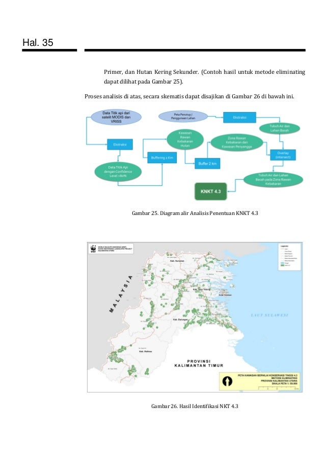 Contoh diagram hutan mangrove