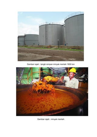 Gambar rajah : tangki simpan minyak mentah 1800 ton
Gambar rajah : minyak mentah
 