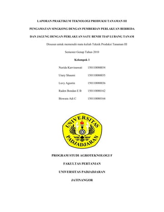 LAPORAN PRAKTIKUM TEKNOLOGI PRODUKSI TANAMAN III
PENGAMATAN SINGKONG DENGAN PEMBERIAN PERLAKUAN BERBEDA
DAN JAGUNG DENGAN PERLAKUAN SATU BENIH TIAP LUBANG TANAM
Disusun untuk memenuhi mata kuliah Teknik Produksi Tanaman III
Semester Genap Tahun 2010
Kelompok 1
Nurida Karvinawati 150110080034
Utary Shaumi 150110080035
Luvy Agustin 150110080036
Raden Bondan E B 150110080162
Biswara Adi C 150110080164
PROGRAM STUDI AGROTEKNOLOGI F
FAKULTAS PERTANIAN
UNIVERSITAS PADJADJARAN
JATINANGOR
 