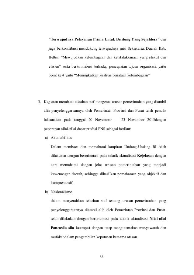 Laporan Aktualisasi Nilai-Nilai Dasar Profesi PNS, ANEKA