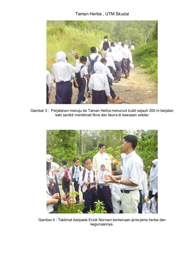 Laporan Bergambar Kelab Kemahiran Hidup