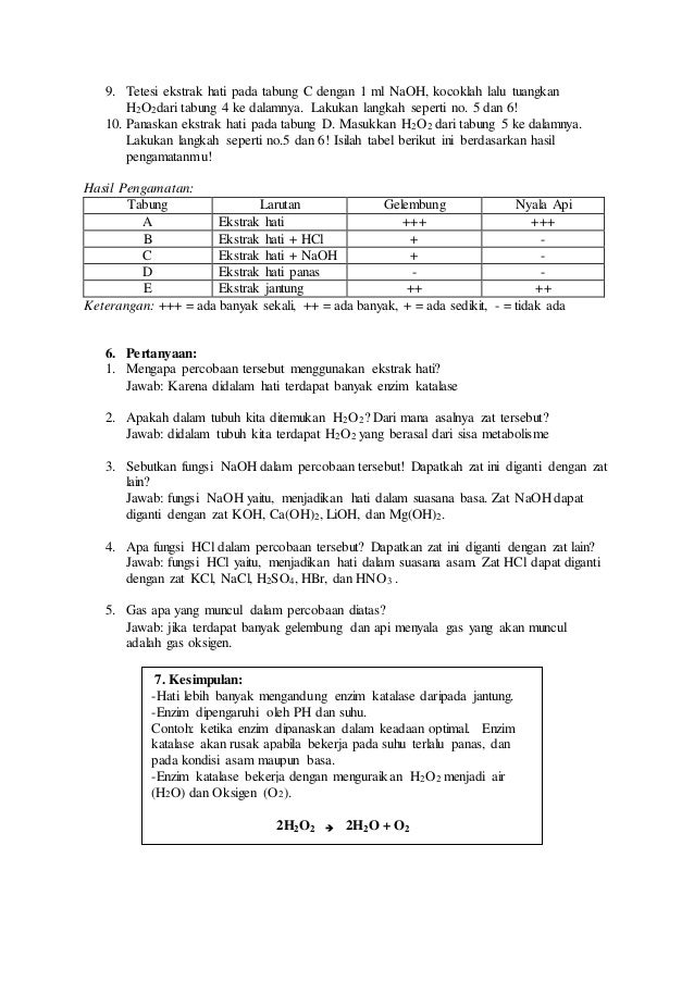 Laporan Bio Laporan Bio