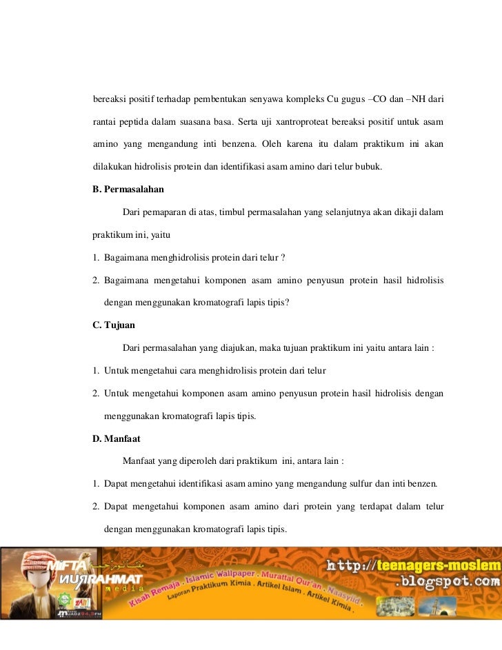 Laporan biokimia asam amino protein