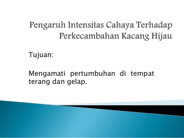 Perkembangan Kecambah Dalam Gelap Dan Terang