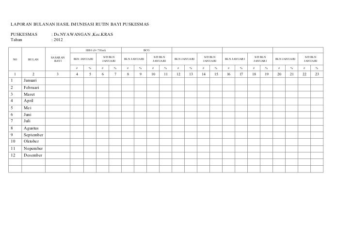 Laporan Bulanan Hasil Imunisasi Rutin Bayi Puskesmas