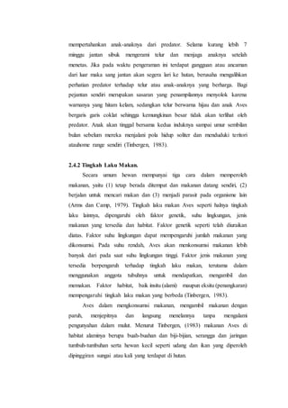 mempertahankan anak-anaknya dari predator. Selama kurang lebih 7
minggu jantan sibuk mengerami telur dan menjaga anaknya setelah
menetas. Jika pada waktu pengeraman ini terdapat gangguan atau ancaman
dari luar maka sang jantan akan segera lari ke hutan, berusaha mengalihkan
perhatian predator terhadap telur atau anak-anaknya yang berharga. Bagi
pejantan sendiri merupakan sasaran yang penampilannya menyolok karena
warnanya yang hitam kelam, sedangkan telur berwarna hijau dan anak Aves
bergaris garis coklat sehingga kemungkinan besar tidak akan terlihat oleh
predator. Anak akan tinggal bersama kedua induknya sampai umur sembilan
bulan sebelum mereka menjalani pola hidup soliter dan menduduki teritori
atauhome range sendiri (Tinbergen, 1983).
2.4.2 Tingkah Laku Makan.
Secara umum hewan mempunyai tiga cara dalam memperoleh
makanan, yaitu (1) tetap berada ditempat dan makanan datang sendiri, (2)
berjalan untuk mencari makan dan (3) menjadi parasit pada organisme lain
(Arms dan Camp, 1979). Tingkah laku makan Aves seperti halnya tingkah
laku lainnya, dipengaruhi oleh faktor genetik, suhu lingkungan, jenis
makanan yang tersedia dan habitat. Faktor genetik seperti telah diuraikan
diatas. Faktor suhu lingkungan dapat mempengaruhi jumlah makanan yang
dikonsumsi. Pada suhu rendah, Aves akan menkonsumsi makanan lebih
banyak dari pada saat suhu lingkungan tinggi. Faktor jenis makanan yang
tersedia berpengaruh terhadap tingkah laku makan, terutama dalam
menggunakan anggota tubuhnya untuk mendapatkan, mengambil dan
memakan. Faktor habitat, baik insitu (alami) maupun eksitu (penangkaran)
mempengaruhi tingkah laku makan yang berbeda (Tinbergen, 1983).
Aves dalam mengkonsumsi makanan, mengambil makanan dengan
paruh, menjepitnya dan langsung menelannya tanpa mengalami
pengunyahan dalam mulut. Menurut Tinbergen, (1983) makanan Aves di
habitat alaminya berupa buah-buahan dan biji-bijian, serangga dan jaringan
tumbuh-tumbuhan serta hewan kecil seperti udang dan ikan yang diperoleh
dipinggiran sungai atau kali yang terdapat di hutan.
 