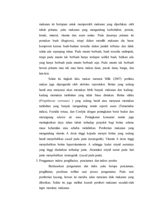 makanan ini bertujuan untuk memperoleh makanan yang diperlukan oleh
tubuh primata, yaitu makanan yang mengandung karbohidrat, protein,
lemak, mineral, vitamin dan asam amino. Pada dasarnya primata itu
pemakan buah (frugivora), tetapi dalam memilih makanan dia harus
kompromi karena buah-buahan tersedia dalam jumlah terbatas dan tidak
selalu ada sepanjang tahun. Pada musim berbuah, buah tersedia melimpah,
tetapi pada musim tak berbuah hanya terdapat sedikit buah, bahkan ada
yang hanya berbuah pada musim berbuah saja. Pada musim tak berbuah
hewan primata mau tak mau harus makan daun, pucuk daun, bunga, dan
lain-lain.
Selain itu tingkah laku makan menurut Mills (2007) perilaku
makan juga dipengaruhi oleh aktivitas reproduksi. Betina yang sedang
hamil atau menyusui akan memakan lebih banyak makanan dan kadang-
kadang memakan tumbuhan yang tidak biasa dimakan. Betina sifaka
(Propithecus verreauxi ) yang sedang hamil atau menyusui memakan
tumbuhan yang banyak mengandung tannin seperti asam (Tamarindus
indica), Foetidia retusa, dan Cordyla dengan peningkatan berat badan dan
merangsang sekresi air susu. Peningkatan konsumsi tannin juga
meningkatkan daya tahan tubuh terhadap penyakit bagi betina selama
masa kehamilan atau sehabis melahirkan. Pemberian makanan yang
mengandung vitamin A dosis tinggi kepada monyet betina yang sedang
hamil menyebabkan cacad pada janin (teratogenik). Vitamin A dosis tinggi
menyebabkan betina hypervitaminosis A sehingga kadar retynil asetatnya
yang tinggi disalurkan terhadap janin. Akumulasi retynil asetat pada hati
janin menyebabkan teratogenik (cacad pada janin).
3. Penggunaan indera penglihatan, penciuman dan indera peraba
Berdasarkan pengamatan alat indra yaitu berupa penciuman,
penglihatan, perabaan terlihat saat proses pengamatan. Pada saat
pemberian kacang, hewan ini meraba adan mencium dulu makanan yang
diberikan. Selain itu juga melihat kearah pemberi makanan seoalah-olah
ingin meminta makanan.
 