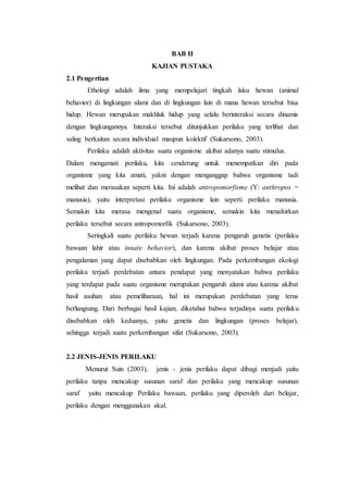 BAB II
KAJIAN PUSTAKA
2.1 Pengertian
Ethologi adalah ilmu yang mempelajari tingkah laku hewan (animal
behavior) di lingkungan alami dan di lingkungan lain di mana hewan tersebut bisa
hidup. Hewan merupakan makhluk hidup yang selalu berinteraksi secara dinamis
dengan lingkungannya. Interaksi tersebut ditunjukkan perilaku yang terlihat dan
saling berkaitan secara individual maupun kolektif (Sukarsono, 2003).
Perilaku adalah aktivitas suatu organisme akibat adanya suatu stimulus.
Dalam mengamati perilaku, kita cenderung untuk menempatkan diri pada
organisme yang kita amati, yakni dengan menganggap bahwa organisme tadi
melihat dan merasakan seperti kita. Ini adalah antropomorfisme (Y: anthropos =
manusia), yaitu interpretasi perilaku organisme lain seperti perilaku manusia.
Semakin kita merasa mengenal suatu organisme, semakin kita menafsirkan
perilaku tersebut secara antropomorfik (Sukarsono, 2003).
Seringkali suatu perilaku hewan terjadi karena pengaruh genetis (perilaku
bawaan lahir atau innate behavior), dan karena akibat proses belajar atau
pengalaman yang dapat disebabkan oleh lingkungan. Pada perkembangan ekologi
perilaku terjadi perdebatan antara pendapat yang menyatakan bahwa perilaku
yang terdapat pada suatu organisme merupakan pengaruh alami atau karena akibat
hasil asuhan atau pemeliharaan, hal ini merupakan perdebatan yang terus
berlangsung. Dari berbagai hasil kajian, diketahui bahwa terjadinya suatu perilaku
disebabkan oleh keduanya, yaitu genetis dan lingkungan (proses belajar),
sehingga terjadi suatu perkembangan sifat (Sukarsono, 2003).
2.2 JENIS-JENIS PERILAKU
Menurut Suin (2003), jenis - jenis perilaku dapat dibagi menjadi yaitu
perilaku tanpa mencakup susunan saraf dan perilaku yang mencakup susunan
saraf yaitu mencakup Perilaku bawaan, perilaku yang diperoleh dari belajar,
perilaku dengan menggunakan akal.
 