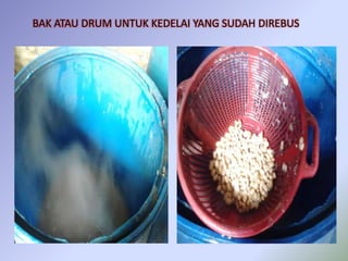 BAK ATAU DRUM UNTUK KEDELAI YANG SUDAH DIREBUS
 