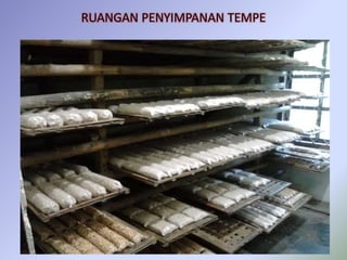 RUANGAN PENYIMPANAN TEMPE
 