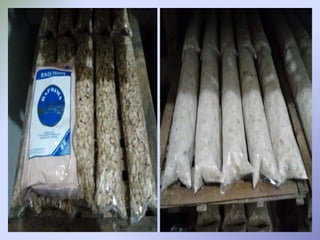 Laporan hasil kunjungan industri tempe