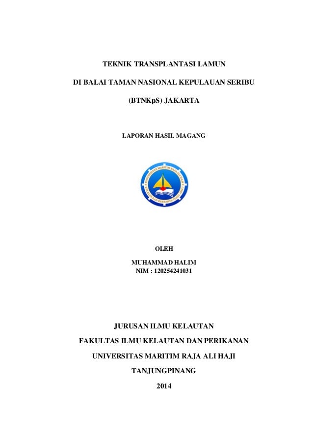 Laporan Hasil Magang Guru Paud