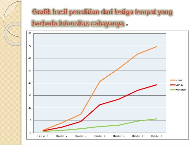 Laporan hasil praktikum biologi kacang hijau