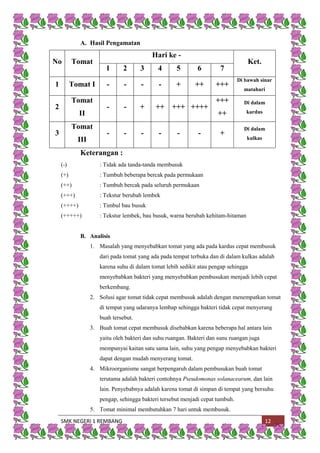 SMK NEGERI 1 REMBANG 12
A. Hasil Pengamatan
No Tomat
Hari ke -
Ket.
1 2 3 4 5 6 7
1 Tomat I - - - - + ++ +++
Di bawah sinar
matahari
2
Tomat
II
- - + ++ +++ ++++
+++
++
Di dalam
kardus
3
Tomat
III
- - - - - - +
Di dalam
kulkas
Keterangan :
(-) : Tidak ada tanda-tanda membusuk
(+) : Tumbuh beberapa bercak pada permukaan
(++) : Tumbuh bercak pada seluruh permukaan
(+++) : Tekstur berubah lembek
(++++) : Timbul bau busuk
(+++++) : Tekstur lembek, bau busuk, warna berubah kehitam-hitaman
B. Analisis
1. Masalah yang menyebabkan tomat yang ada pada kardus cepat membusuk
dari pada tomat yang ada pada tempat terbuka dan di dalam kulkas adalah
karena suhu di dalam tomat lebih sedikit atau pengap sehingga
menyebabkan bakteri yang menyebabkan pembusukan menjadi lebih cepat
berkembang.
2. Solusi agar tomat tidak cepat membusuk adalah dengan menempatkan tomat
di tempat yang udaranya lembap sehingga bakteri tidak cepat menyerang
buah tersebut.
3. Buah tomat cepat membusuk disebabkan karena beberapa hal antara lain
yaitu oleh bakteri dan suhu ruangan. Bakteri dan sunu ruangan juga
mempunyai kaitan satu sama lain, suhu yang pengap menyebabkan bakteri
dapat dengan mudah menyerang tomat.
4. Mikroorganisme sangat berpengaruh dalam pembusukan buah tomat
terutama adalah bakteri contohnya Pseudomonas solanacearum, dan lain
lain. Penyebabnya adalah karena tomat di simpan di tempat yang bersuhu
pengap, sehingga bakteri tersebut menjadi cepat tumbuh.
5. Tomat minimal membutuhkan 7 hari untuk membusuk.
 