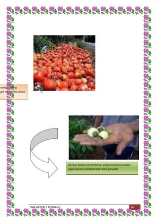 SMK NEGERI 1 REMBANG 16
mengandung
ngat membahayakan
Berikut adalah contoh tomat yang membusuk akibat
gagal panen/ produktivitas hama penyakit
 