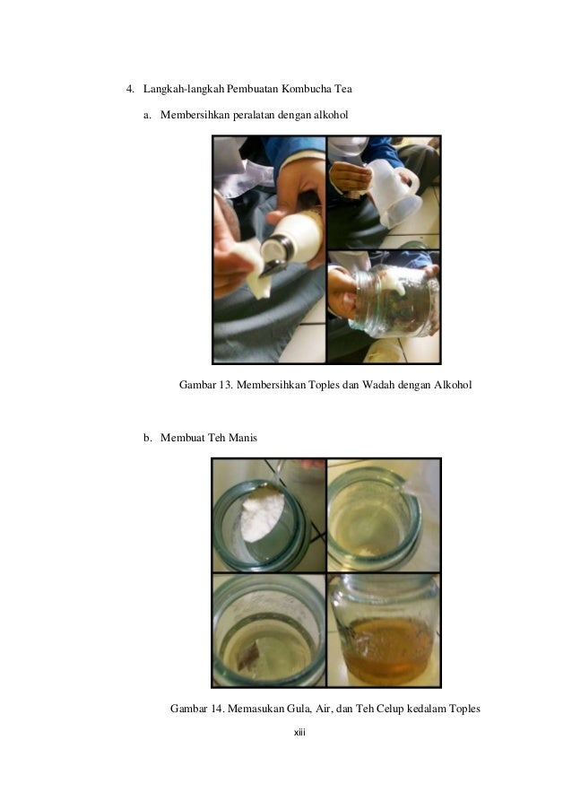 Laporan ilmiah pembuatan kombucha tea Laporan ilmiah pembuatan kombucha tea