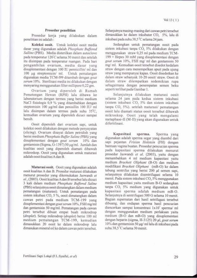 Laporan in vitro maturasi