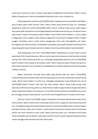 quarternary ammonium yaitu senyawa yang dapat menghambat pertumbuhan bakteri kecuali
bakteri Pseudomonas, karena menyebabkan kebocoran unsur-unsur di dalam sel.
Pada pengamatanhari kamis(11/11/2010) bakteri Staphylococcus aureus belum ada bakteri
yang tumbuh pada media Simmon Sitrat. Warna media tetep berwarna hijau tua. Sedangkan
pengamatan pada hari jum’at (12/11/2010) bakteri belum tumbuh tetapi warna media bagian
atasnyaberubahmenjadi birutuadan bagianbawahnyatetapberwarnahijautua.Perubahan warna
pada media tersebut menunjukan adanya bakteri yang tumbuh karena bakteri S. Aureus dapat
menggunakan sitrat sebagai sumber karbon tunggal dan ion ammonium sebagai sumber nitrogen
tunggal. Perubahan warna terjadi karena penggunaan sitrat akan meningkatkan pH media.
Peningkatan pH media tersebut menyebabkan perubahan warna pada indikator bromthymol biru
yang mengubah media menjadi warna biru. Bakteri ini termasuk dalam bakteri aerob fakultatif.
Pada pengamatan hari kamis (11/11/2010) bakteri Staphylococcus aureus bakeri tumbuh
pada media TSIA di permukaannya. Warna media yang semula berwarna merah berubah menjadi
kuning muda. Warna koloninya putih susu. Sedangkan pengamatan pada hari jum’at (12/11/2010)
bakteri tumbuh lebih banyak di permukaan media. Warna media berubah menjadi kuning emas.
Warna koloninyaputihsusu.Perubahanini disebabkankarenabakteri dapatmemfermentasi glukosa
/ laktosa / sukrosa.
Bakteri Escherichia coli pada media MCA yang diamati pada hari Kamis (11/11/2010),
tumbuhbanyakdi permukaanmedia.Warnamediayangsemulamerahtuaberubahmenjadi kuning
muda. Warna koloni bakteri ini putih susu. Sedangkan pengamatan yang dilakukan hari jum’at
(12/11/1010) bakteri tumbuh lebih baik dan lebih banyak. Warna media tetap kuning muda
(keemasan).Warnakoloninyaputihsusu.Padamedia ini bakteri dapat tumbuh dengan baik karena
dapat menguraikan laktosa. Kemampuan E. coli memfermentasi laktosa menyebabkan penurunan
pH, sehingga mempermudah absorpsi neutral red untuk mengubah koloni menjadi merah muda.
Pada hari Kamis (11/11/2010), bakteri Escherichia coli tumbuh banyak pada media VJA di
semua daerah. Warna media merah muda yang semula warna orange dan warna koloninya putih
susu.Sedangkanpengamatanyangdilakukanpada hari Jumat(12/11/2010), bakteri tumbuh dengan
baik dipermukaan media dan di daerah I media pecah (menonjol ke atas) dan warna media tetap
seperti hari kamis berwarna merah muda. Warna koloninya putih susu. Perubahan warna pada
media disebabkan karena bakteri tidak dapat memfermentasi manitol yang terkandung di dalam
media sehingga media berubah menjadi merah muda.
 