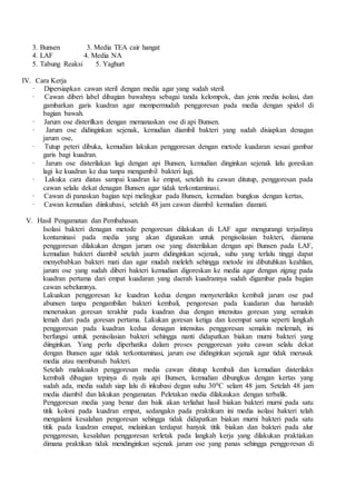 3. Bunsen 3. Media TEA cair hangat
4. LAF 4. Media NA
5. Tabung Reaksi 5. Yaghurt
IV. Cara Kerja
· Dipersiapkan cawan steril dengan media agar yang sudah steril.
· Cawan diberi label dibagian bawahnya sebagai tanda kelompok, dan jenis media isolasi, dan
gambarkan garis kuadran agar mempermudah penggoresan pada media dengan spidol di
bagian bawah.
· Jarum ose disterilkan dengan memanaskan ose di api Bunsen.
· Jarum ose didinginkan sejenak, kemudian diambil bakteri yang sudah disiapkan denagan
jarum ose,
· Tutup peteri dibuka, kemudian lakukan penggoresan dengan metode kuadaran sesuai gambar
garis bagi kuadran.
· Jarum ose disterilakan lagi dengan api Bunsen, kemudian dinginkan sejenak lalu goreskan
lagi ke kuadran ke dua tanpa mengambil bakteri lagi,
· Lakuka cara diatas sampai kuadran ke empat, setelah itu cawan ditutup, penggoresan pada
cawan selalu dekat denagan Bunsen agar tidak terkontaminasi.
· Cawan di panaskan bagian tepi melingkar pada Bunsen, kemudian bungkus dengan kertas,
· Cawan kemudian diinkubasi, setelah 48 jam cawan diambil kemudian diamati.
V. Hasil Pengamatan dan Pembahasan.
Isolasi bakteri denagan metode pengoresan dilakukan di LAF agar mengurangi terjadinya
kontaminasi pada media yang akan digunakan untuk pengisolasian bakteri, diamana
penggoresan dilakukan dengan jarum ose yang disterilakan dengan api Bunsen pada LAF,
kemudian bakteri diambil setelah jaurm didinginkan sejenak, suhu yang terlalu tinggi dapat
menyebabkan bakteri mati dan agar mudah meleleh sehingga metode ini dibutuhkan keahlian,
jarum ose yang sudah diberi bakteri kemudian digoreskan ke media agar dengan zigzag pada
kuadran pertama dari empat kuadaran yang daerah kuadrannya sudah digambar pada bagian
cawan sebelumnya.
Lakuakan penggoresan ke kuadran kedua dengan menyeterilakn kembali jarum ose pad
abunsen tanpa pengambilan bakteri kembali, pengoresan pada kuadaran dua haruslah
meneruskan goresan terakhir pada kuadran dua dengan intensitas goresan yang semakin
lemah dari pada goresan pertama. Lakukan goresan ketiga dan keempat sama seperti langkah
penggoresan pada kuadran kedua denagan intensitas penggoresan semakin melemah, ini
berfungsi untuk penisolasian bakteri sehingga nanti didapatkan biakan murni bakteri yang
diinginkan. Yang perlu diperhatika dalam proses penggoresan yaitu cawan selalu dekat
dengan Bunsen agar tidak terkontaminasi, jarum ose didinginkan sejenak agar tidak merusak
media atau membunuh bakteri.
Setelah malakuakn penggoresan media cawan ditutup kembali dan kemudian disterilakn
kembali dibagian tepinya di nyala api Bunsen, kemudian dibungkus dengan kertas yang
sudah ada, media sudah siap lalu di inkubasi degan suhu 300C selam 48 jam. Setelah 48 jam
media diambil dan lakukan pengamatan. Peletakan media dilakaukan dengan terbalik.
Penggoresan media yang benar dan baik akan terliahat hasil biakan bakteri murni pada satu
titik koloni pada kuadran empat, sedangakn pada praktikum ini media isolasi bakteri telah
mengalami kesalahan pengoresan sehingga tidak didapatkan biakan murni bakteri pada satu
titik pada kuadran emapat, melainkan terdapat banyak titik biakan dan bakteri pada alur
penggoresan, kesalahan penggoresan terletak pada langkah kerja yang dilakukan praktiakan
dimana praktikan tidak mendinginkan sejenak jarum ose yang panas sehingga penggoresan di
 