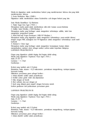 Media ini digunakan untuk membedakan bakteri yang memfermentasi laktosa dan yang tidak
memfermentasi laktosa.
3. Eosin Methylene Blue ( EMB )
Digunakan untuk membedakan antara Escherichia coli dengan bakteri yang lain.
Jenis Media Identifikasi Uji Biokimia
1. Triple Sugar Iron Agar ( TSIA )
Merupakan media padat untuk membedakan sifat-sifat kuman secara biokimia
2. Sulfide Indol Motility ( SIM Medium )
Merupakan media yang berfungsi untuk mengetahui terbentunya sulfide, indol dan
mengetahui pergerakan kuman
3. Metil Red and Voges Proskauer ( MR-VP Medium )
Merupakan media yang digunakan untuk mengetahui terbentuknya asam setelah ditetesi
dengan reagen MR, sedangkan test VP digunakan untuk mengetahui terbentuknya asetil metil
karbonil.
4. Simmon’s Citrat Agar
Merupakan media yang berfungsi untuk mengetahui kemampuan kuman dalam
memanfaatkan natrium citrat sebagai sumber carbon untuk keperluan hidupnya.
LAPORAN PRAKTIKUM II
Organ yang digunakan adalah daging dari bagian tubuh udang
Media yang digunakan Trypticase Soya Agar ( TSA )
Suhu 25-30 ° C
Lamanya + 1- 2 hari
Gambarnya :
Koloni yang tumbuh ada 2-3 koloni.
Bentuknya bulat, ukuran + 0,25 mikrometer, permukaan mengembang, terdapat pigmen
berwarna kuning
Dilakukan pewarnaan gram sebagai berikut :
1. bahan diambil sedikit untuk pemeriksaan
2. berilah cairan gratin violet dan dipanaskan
3. bilas dengan air bersih
4. Beri safranin dan cuci dengan air
5. hasil yang didapat gram negatif dengan berwarna merah
berikut gambaran dari pelaksanaan pewarnaan gram
LAPORAN PRAKTIKUM III
Organ yang digunakan adalah daging dari bagian tubuh udang
Media yang digunakan Trypticase Soya Agar ( TSA )
Suhu 25-30 ° C
Lamanya + 1- 2 hari
Gambarnya :
Koloni yang tumbuh ada 2-3 koloni.
Bentuknya bulat, ukuran + 0,25 mikrometer, permukaan mengembang, terdapat pigmen
berwarna kuning
Dilakukan pewarnaan gram sebagai berikut :
1. bahan diambil sedikit untuk pemeriksaan
 