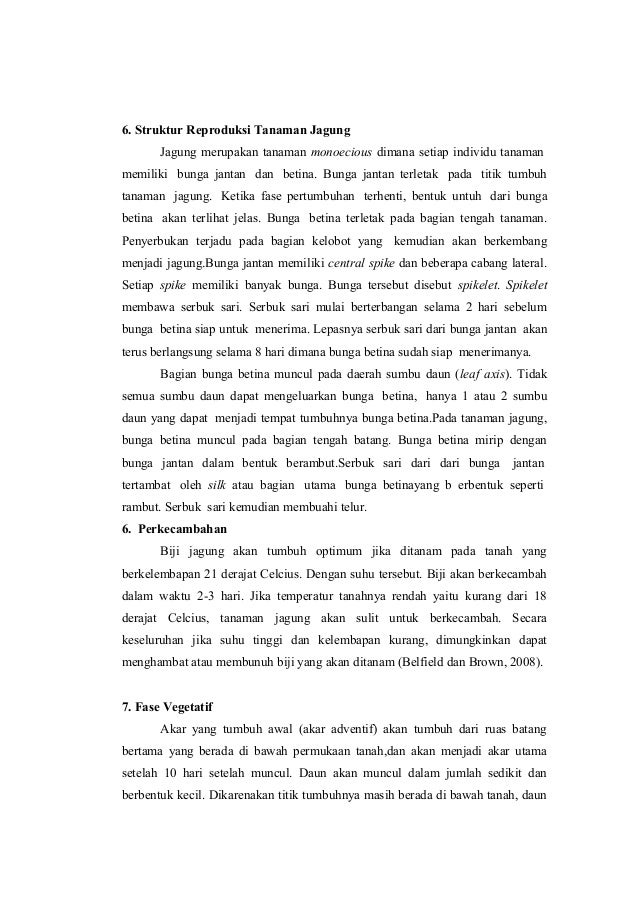 Laporan Produksi Tanaman Jagung
