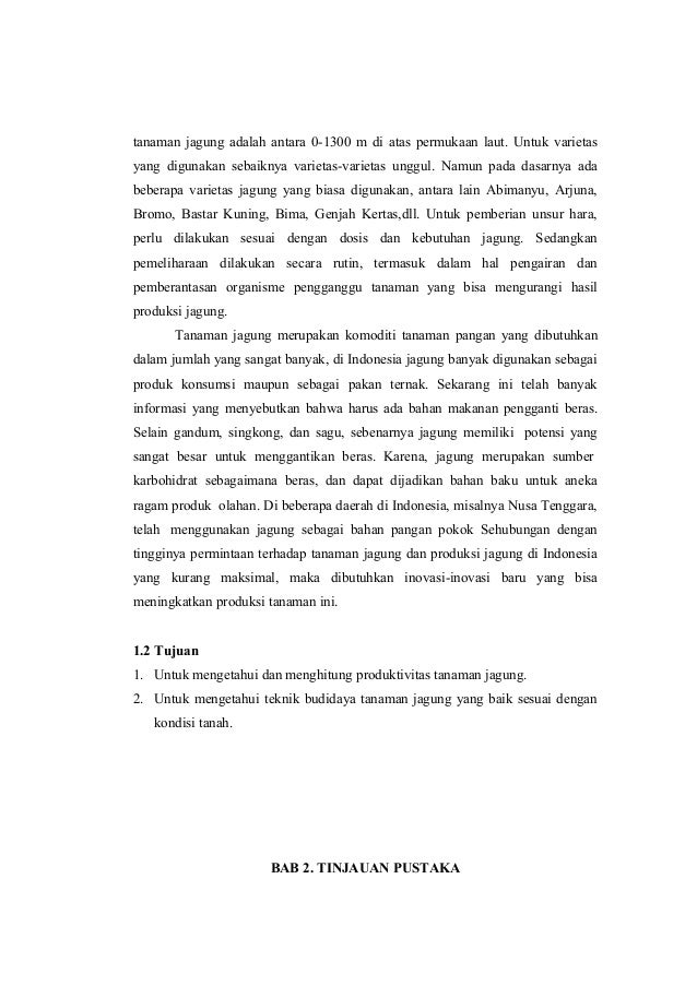 Laporan produksi tanaman jagung Laporan produksi tanaman jagung