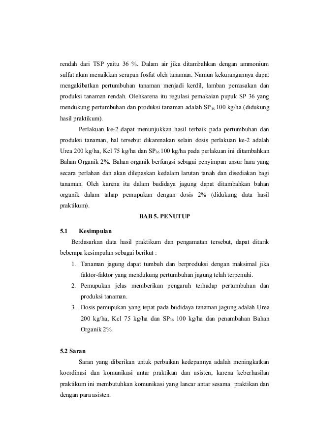 Jagung Merupakan Tanaman Indikator Yang Baik Bagi