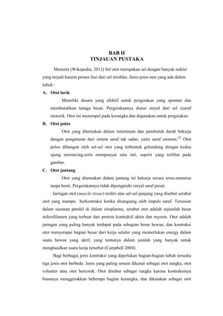 BAB II
                          TINJAUAN PUSTAKA
      Menurut (Wikepedia, 2012) Sel otot merupakan sel dengan banyak nuklei
yang terjadi karena proses fusi dari sel mioblas. Jenis-jenis otot yang ada dalam
tubuh :
A. Otot lurik
          Memiliki desain yang efektif untuk pergerakan yang spontan dan
    membutuhkan tenaga besar. Pergerakannya diatur sinyal dari sel syaraf
    motorik. Otot ini menempel pada kerangka dan digunakan untuk pergerakan.
B. Otot polos
          Otot yang ditemukan dalam intestinum dan pembuluh darah bekerja
    dengan pengaturan dari sistem saraf tak sadar, yaitu saraf otonom.[2] Otot
    polos dibangun oleh sel-sel otot yang terbentuk gelondong dengan kedua
    ujung meruncing,serta mempunyai satu inti, seperti yang terlihat pada
    gambar.
C. Otot jantung
          Otot yang ditemukan dalam jantung ini bekerja secara terus-menerus
    tanpa henti. Pergerakannya tidak dipengaruhi sinyal saraf pusat.
     Jaringan otot (muscle tissue) terdiri atas sel-sel panjang yang disebut serabut
otot yang mampu berkontraksi ketika dirangsang oleh impuls saraf. Tersusun
dalam susunan paralel di dalam sitoplasma, serabut otot adalah sejumlah besar
mikrofilamen yang terbuat dari protein kontraktil aktin dan myosin. Otot adalah
jaringan yang paling banyak terdapat pada sebagian besar hewan, dan kontraksi
otot menyerupai bagian besar dari kerja seluler yang memerlukan energy dalam
suatu hewan yang aktif, yang tentunya dalam jumlah yang banyak untuk
menghasilkan suatu kerja tersebut (Campbell 2004).
      Bagi berbagai jenis kontraksi yang diperlukan bagian-bagian tubuh tersedia
tiga jenis otot berbeda. Jenis yang paling umum dikenal sebagai otot rangka, otot
volunter atau otot bercorak. Otot disebut sebagai rangka karena kontraksinya
biasanya menggerakkan beberapa bagian kerangka, dan dikatakan sebagai otot
 