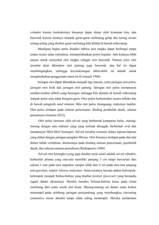 volunter karena kontraksinya biasanya dapat diatur oleh kemauan kita, dan
bercorak karena seratnya nampak gurat-gurat melintang gelap dan terang secara
selang-seling yang disebut gurat melintang bila dilihat di bawah mikroskop.
     Meskipun begitu perlu disadari bahwa otot rangka dapat berfungsi tanpa
usaha secara sadar (misalnya, mempertahankan posisi kepala). Ada kalanya lebih
umum untuk menyebut otot rangka sebagai otot bercorak. Namun jenis otot
tersebut akan dikatakan otot jantung juga bercorak, dan hal ini dapat
membingungkan,      sehingga   kecenderungan      akhir-akhir   ini   adalah   untuk
menghindarkan penggunaan nama ini (Cormack 1994).
     Jaringan otot dapat dibedakan menjadi tiga macam, yaitu jaringan otot polos,
jaringan otot lurik dan jaringan otot jantung. Jaringan otot polos mempunyai
serabut-serabut (fibril) yang homogen sehingga bila diamati di bawah mikroskop
tampak polos atau tidak bergaris-garis. Otot polos berkontraksi secara refleks dan
di bawah pengaruh saraf otonom. Bila otot polos dirangsang, reaksinya lambat.
Otot polos terdapat pada saluran pencernaan, dinding pembuluh darah, saluran
pernafasan (Anonim 2012).
      Otot polos tersusun oleh sel-sel yang berbentuk kumparan halus, masing-
masing dengan satu nukleus yang yang terletak ditengah, berbentuk oval dan
mempunyai fibril-fibril homogen. Sel-sel tersebut tersusun dalam lapisan-lapisan
yang diikat dengan jaringan pengikat fibrosa. Otot biasanya terdapat pada alat-alat
dalam tubuh vertebrata, diantaranya pada dinidng saluran pencernaan, pembuluh
darah, dan saluran-saluran pernafasan (Radiopoetro 1996)
      Sel-sel otot kerangka (yang juga disebut serat-serat) adalah sel-sel silindris,
berbentuk prisma yang rata-rata memiliki panjang 3 cm tetapi bervariasi dari
sekitar 1 mm pada otot stapedius sampai lebih dari 4 cm pada otot-otot panjang
anti-gravitasi, seperti Gluteus maksimus. Serat-seratnya bersatu dalam kelompok-
kelompok menjadi berkas-berkas yang disebut fasikuli (fasciculi) yang beraneka
ragam dalam ukurannya. Mereka member butiran-butiran kasar pada irisan
melintang dari suatu sosok otot besar. Masing-masing sel dalam suatu berkas
menempel pada selubung jaringan penyambung yang membungkus (investing
connective tissue sheath) tetapi tidak saling menempel. Mereka melakukan
 