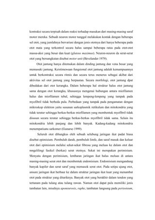 kontraksi secara terpisah dalam reaksi terhadap masukan dari masing-masing saraf
motor mereka. Sebuah neuron motor tunggal melakukan kontak dengan beberapa
sel otot, yang jumlahnya bervariasi dengan jenis ototnya dari hanya beberapa pada
otot mata yang terkontrol secara halus sampai beberapa ratus pada otot-otot
massa-aksi yang besar dan kuat (gluteus maximus). Neuron-neuron da serat-serat
otot yang bersangkutan disebut motor unit (Bevelander 1979).
     Otot jantung hanya ditemukan dalam dinding jantung dan vena besar yang
memasuki jantung. Keistimewaan fungsional otot jantung adalah kemampuannya
untuk berkontraksi secara ritmis dan secara terus menerus sebagai akibat dari
aktivitas sel otot jantung yang berpautan. Secara morfologi, otot jantung dpat
dibedakan dari otot kerangka. Dalam beberapa hal struktur halus otot jantung
sama dengan otot kerangka, khususnya mengenai hubungan antara miofilamen
halus dan miofilamen tebal, sehingga lempeng-lempeng yang tampak pada
myofibril tidak berbeda pula. Perbedaan yang tampak pada pengamatan dengan
mikroskop elektron yaitu susunan sarkoplasmik retikulum dan mitokondria yang
tidak teratur sehingga berkas-berkas miofilamen yang membentuk myofibril tidak
disusun secara teratur sehingga berkas-berkas myofibril tidak sama. Selain itu
mitokondria lebih panjang dan lebih banyak. Kadang-kadang mitokondria
menempatisatu sarkomer (Gunarso 1999).
      Seluruh otot dibungkus oleh sebuah selubung jaringan ikat padat biasa
disebut epimisium. Pembuluh darah, pembuluh limfe, dan saraf masuk dan keluar
otot dari epimisium melalui sekat-sekat fibrosa yang meluas ke dalam otot dan
mngelilingi fasikel (berkas) serat ototnya. Sekat ini merupakan perimisium.
Menyatu dengan perimisium, lembaran jaringan ikat halus meluas di antara
masing-masing serat otot dan membentuk endomisium. Endomisium mengandung
banyak kapiler dan serat saraf yang memasok serat otot. Pada setipa ujung otot,
unsure jaringan ikat berbaur ke dalam struktur jaringan ikat kuat yang menambat
otot pada struktur yang ditariknya. Banyak otot yang berakhir dalam tendon yang
tertanam pada tulang atau tulang rawan. Namun otot dapat pula memiliki jenis
tambatan lain, misalnya aponeurosis, raphe, tambatan langsung pada periosteum,
 