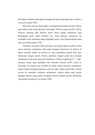 dan bahkan tambatan pada lapisan jaringan ikat padat biasa kulit (lapis retikulare
dermis) (Cormack 1994).
      Bila suatu serat otot berkontraksi, ia menjadi lebih pendek dan lebar. Hal ini
juga berlaku untuk setiap sakromer. Keterangan “filamen yang menyelip” (sliding
filament) sekarang telah diterima secara umum sebagai mekanisme yang
bertanggung jawab untuk kontraksi otot. Pada dasarnya, mekanisme ini
melibatkan suatu perubahan dalam kedudukan relative dari filamen-filamen aktin
dan myosin (Bevelander 1979).
      Kontraksi otot diatur oleh konsentrasi ion kalsium dalam myofibril. Peran
utama retikulum sarkoplasma ialah untuk mengatur konsentrasi ion kalsium di
dalam myofibril. Kadar ion kalsium ini yang menentukan apakah aktin akan
berinteraksi dengan myosin. Protein membrane integral utama dari reticulum
sarkoplasma ialah enzim adenosine trifosfatase (ATPase) tergantung Ca2+ + Mg2+
memakai energy yang disediakan oleh adenosine trifosfat (ATP), enzim ini
memompa ion kalsium dari myofibril ke dalam lumen retikulum sarkoplasma,
tempat mereka ditampung bilamana serat otot tidak sedang berkontraksi. Setelah
ion-ion ini memasuki retikulum sarkoplasma, mereka terikat pada protein
pengikat kalsium, yang semula merupakan protein membran porifer (ekstrinsik)
yang disebut kalsekuestrin (Cormack 1994).
 
