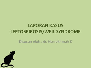 LAPORAN KASUS
LEPTOSPIROSIS/WEIL SYNDROME
Disusun oleh : dr. Nurrokhmah K
 