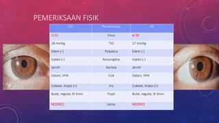 Osflex Injeksi Comprehensive Case Reports on Diabetic Retinopathy Diagnosis and ...