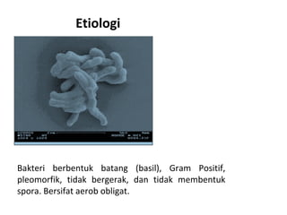 Etiologi
Bakteri berbentuk batang (basil), Gram Positif,
pleomorfik, tidak bergerak, dan tidak membentuk
spora. Bersifat aerob obligat.
 