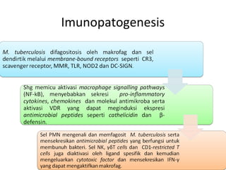 Imunopatogenesis
 