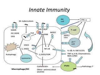 Innate Immunity
 