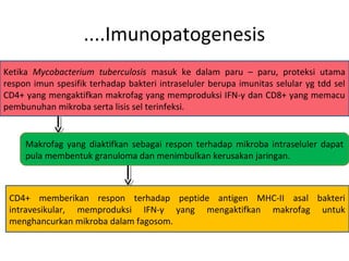 ....Imunopatogenesis
Ketika Mycobacterium tuberculosis masuk ke dalam paru – paru, proteksi utama
respon imun spesifik terhadap bakteri intraseluler berupa imunitas selular yg tdd sel
CD4+ yang mengaktifkan makrofag yang memproduksi IFN-γ dan CD8+ yang memacu
pembunuhan mikroba serta lisis sel terinfeksi.
Makrofag yang diaktifkan sebagai respon terhadap mikroba intraseluler dapat
pula membentuk granuloma dan menimbulkan kerusakan jaringan.
CD4+ memberikan respon terhadap peptide antigen MHC-II asal bakteri
intravesikular, memproduksi IFN-γ yang mengaktifkan makrofag untuk
menghancurkan mikroba dalam fagosom.
 