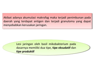 Akibat adanya akumulasi makrofag maka terjadi penimbunan pada
daerah yang terdapat antigen dan terjadi granuloma yang dapat
menyebabkan kerusakan jaringan.
Akibat adanya akumulasi makrofag maka terjadi penimbunan pada
daerah yang terdapat antigen dan terjadi granuloma yang dapat
menyebabkan kerusakan jaringan.
Lesi jaringan oleh basil mikobakterium pada
dasarnya memiliki dua tipe, tipe eksudatif dan
tipe produktif
Lesi jaringan oleh basil mikobakterium pada
dasarnya memiliki dua tipe, tipe eksudatif dan
tipe produktif
 