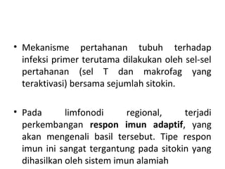 • Mekanisme pertahanan tubuh terhadap
infeksi primer terutama dilakukan oleh sel-sel
pertahanan (sel T dan makrofag yang
teraktivasi) bersama sejumlah sitokin.
• Pada limfonodi regional, terjadi
perkembangan respon imun adaptif, yang
akan mengenali basil tersebut. Tipe respon
imun ini sangat tergantung pada sitokin yang
dihasilkan oleh sistem imun alamiah
 