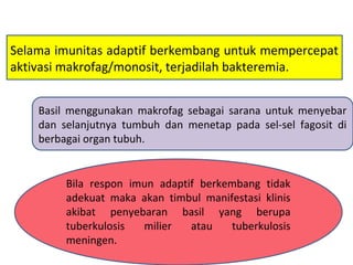 Selama imunitas adaptif berkembang untuk mempercepat
aktivasi makrofag/monosit, terjadilah bakteremia.
Basil menggunakan makrofag sebagai sarana untuk menyebar
dan selanjutnya tumbuh dan menetap pada sel-sel fagosit di
berbagai organ tubuh.
Bila respon imun adaptif berkembang tidak
adekuat maka akan timbul manifestasi klinis
akibat penyebaran basil yang berupa
tuberkulosis milier atau tuberkulosis
meningen.
 