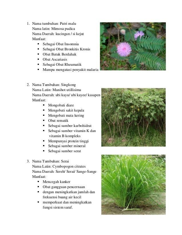 Keanekaragaman Hayati dan Manfaatnya