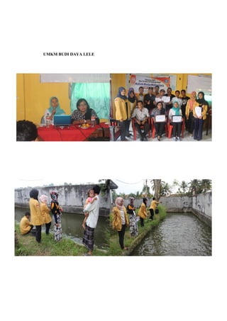 UMKM BUDI DAYA LELE
 