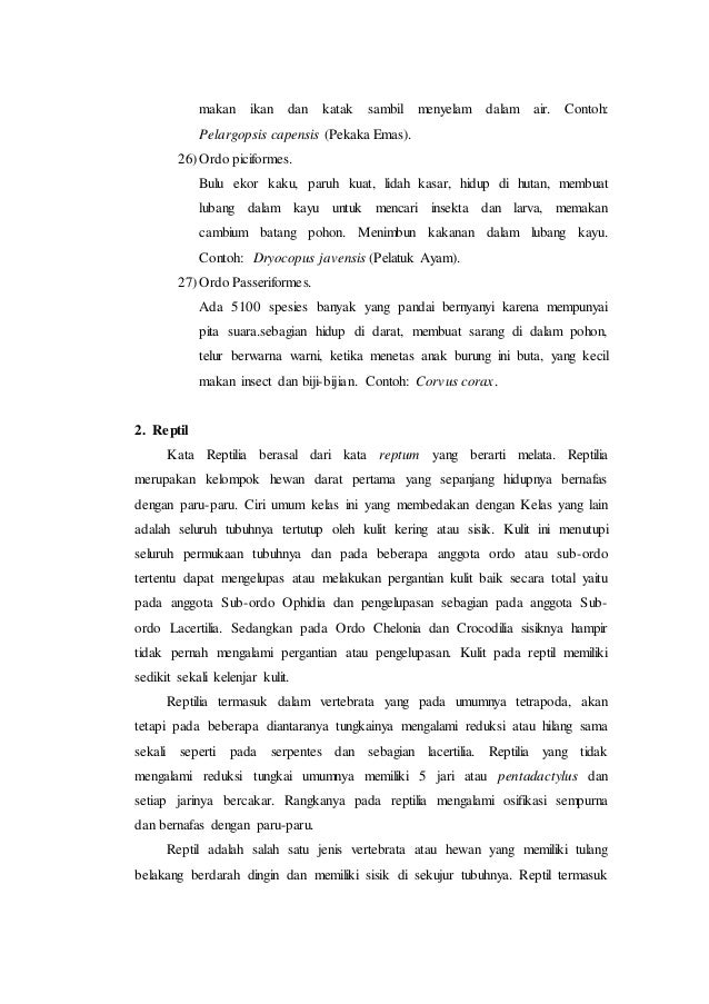 LAPORAN PRAKTIKUM KULIAH LAPANGAN TAKSONOMI HEWAN DI TAMAN 
