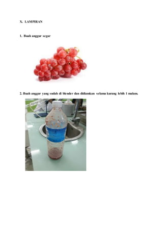 X. LAMPIRAN
1. Buah anggur segar
2. Buah anggur yang sudah di blender dan didiamkan selama kurang lebih 1 malam.
 