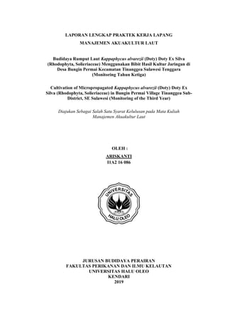 i
LAPORAN LENGKAP PRAKTEK KERJA LAPANG
MANAJEMEN AKUAKULTUR LAUT
Budidaya Rumput Laut Kappaphycus alvarezii (Doty) Doty Ex Silva
(Rhodophyta, Solieriaceae) Menggunakan Bibit Hasil Kultur Jaringan di
Desa Bungin Permai Kecamatan Tinanggea Sulawesi Tenggara
(Monitoring Tahun Ketiga)
Cultivation of Micropropagated Kappaphycus alvarezii (Doty) Doty Ex
Silva (Rhodophyta, Solieriaceae) in Bungin Permai Village Tinanggea Sub-
District, SE Sulawesi (Monitoring of the Third Year)
Diajukan Sebagai Salah Satu Syarat Kelulusan pada Mata Kuliah
Manajemen Akuakultur Laut
OLEH :
ARISKANTI
I1A2 16 086
JURUSAN BUDIDAYA PERAIRAN
FAKULTAS PERIKANAN DAN ILMU KELAUTAN
UNIVERSITAS HALU OLEO
KENDARI
2019
 