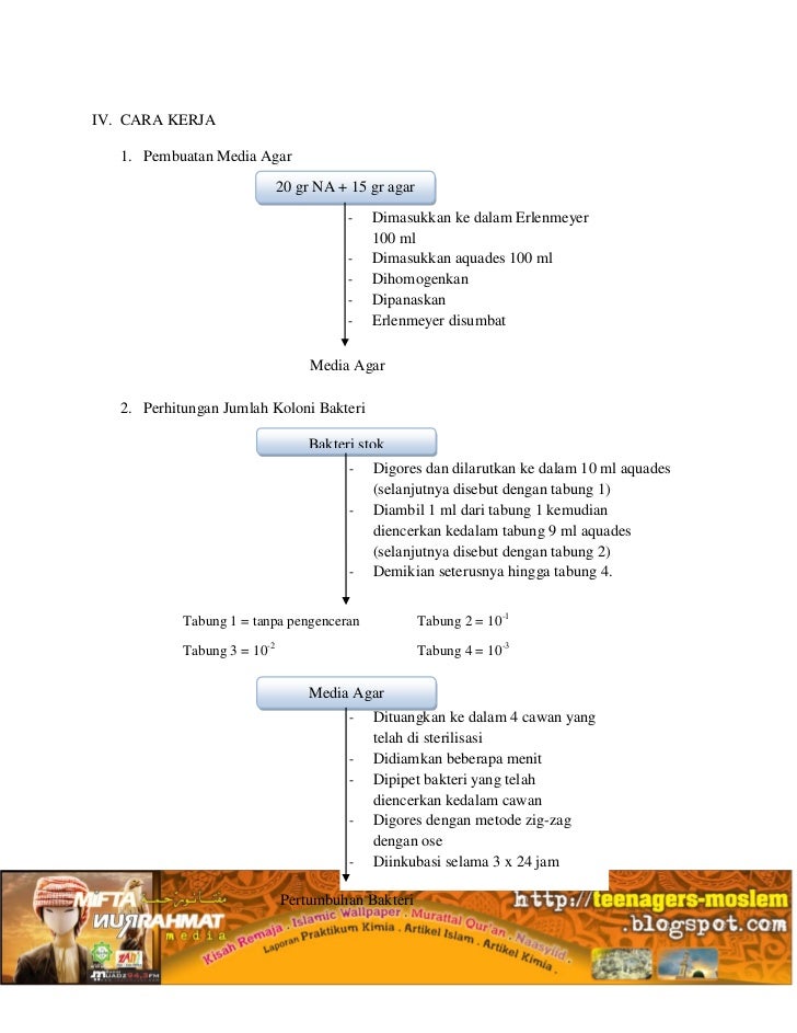 Laporan mikrobiologi menghitung jumlah mikroba