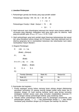J. Jawaban Pertanyaan
1. Perbandingan genotip dan fenotip yang saya peroleh adalah
Perbandingan Genotip = KK : Kk : kk = 26 : 48 : 26
= 1 : 1,8 : 1
Perbandingan Fenotip = Bulat : Keriput = 74 : 26
= 2,8 : 1
2. Hasil kelompok kami dibandingkan kelompok lain hampir sama karena setelah uji
chi-square yang dilakukan, didapatkan hasil yang sama yaitu Ho diterima. Hasil
yang ami peroleh yaitu X2hitung < X 2
(0,05;2 ) = 0,16 < 5,99
3. Hasil perbandingan yang kami peroleh dapat dipercaya kebenarannya dan sesuai
dari yang diharapkan karena dengan Uji Chi-Square, hasil data kelompok kami ho
diterima yangmana hal ini membuktikan kebenaran dan keberhasilan kami dalam
membuktikan Hukum Mendel I.
4. Diagram Persilangan
P: ♀KK >< ♂ kk
(Bulat) ↓ (Keriput)
F1: Kk
(Bulat)
F1>< F1: ♀ Kk >< ♂ Kk
(Bulat) ↓ (Bulat)
G: K , k K, k
F2 :
Fenotip (Genotip) Bulat (K) Keriput (k)
Bulat (K) KK Kk
Keriput (k) Kk kk
5. Kesimpulan dari kegiatan :
1. Prinsip segregasi secara bebas memang benar adanya dengan dilakukannya
percobaan pemisahan 25 pasang kancing dengan jumlah sama besar dan di
silangkan dengan 25 buah kancing berbeda warna yang lainnya kemudian
disilangkan kembali secara acak yang kemudian menghasilkan keturunan F1
dan F2 dengan adanya perbandingan tertentu yang cenderung stabil.
2. Terbukti bahwa perbandingan Mendel pada F2 persilangan monohibrida, yaitu
perbandingan genotip 1 : 2 : 1 dan perbandingan fenotip 3 : 1 atau hampir
mendekati yang dibuktikan dengan uji Chi-Square dan hasilnya Ho diterima.
 