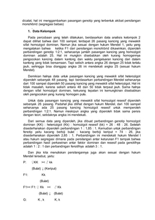dicatat, hal ini menggambarkan pasangan genotip yang terbentuk akibat persilangan
monohibrid (segregasi bebas)
.
1. Data Kelompok
Pada percobaan yang telah dilakukan, berdasarkan data analisis kelompok 2
dapat dilihat bahwa dari 100 sampel, terdapat 26 pasang kancing yang mewakili
sifat homozigot dominan. Namun jika sesuai dengan hukum Mendel 1, yaitu yang
mengatakan bahwa ketika F1 dari persilangan monohibrid dikawinkan, diperoleh
perbandingan genotip 1:2:1, seharusnya jumlah pasangan kancing yang homozigot
dominan adalah 25. Hal ini mungkin disebabkan oleh kurang homogennya
pengocokan kancing dalam kantong dan waktu pengeluaran kancing dari dalam
kantong yang tidak bersamaan. Tapi selisih antara angka 26 dengan 25 tidak terlalu
jauh, sehingga bisa dianggap angka 26 ini mendekati angka 25 (sesuai hukum
Mendel).
Demikian halnya data untuk pasangan kancing yang mewakili sifat heterozigot
diperoleh sebanyak 48 pasang, tapi berdasarkan perbandingan Mendel seharusnya
dari 100 sampel diperoleh 50 pasang kancing yang mewakili sifat heterozigot. Hal ini
tidak masalah, karena selisih antara 48 dan 50 tidak terpaut jauh. Sama halnya
dengan sifat homozigot dominan, kekurang tepatan ini kemungkinan disebabkan
oleh pengocokan yang kurang homogen pula.
Untuk data pasangan kancing yang mewakili sifat homozigot resesif diperoleh
sebanyak 26 pasang. Padahal jika dilihat dengan hukum Mendel, dari 100 sampel
seharusnya ada 25 pasang kancing homozigot resesif untuk memperoleh
perbandingan 1:2:1. Namun meskipun angka yang diperoleh tidak sama persis
dengan teori, setidaknya angka ini mendekati.
Dari semua data yang diperoleh, jika dibuat perbandingan genotip homozigot
dominan (KK) : heterozigot (Kk) : homozigot resesif (kk) = 26 : 48 : 26. Setelah
disederhanakan diperoleh perbandingan 1 : 1,85 : 1. Kemudian untuk perbandingan
fenotip yaitu kacang berbiji bulat : kacang berbiji keriput = 74 : 26, jika
disederhanakan diperoleh 2,85 : 1. Perbandingan ini mendekati hukum Mendel I
atau hukum segregasi dimana pada persilangan antar keturunan F1 tampak bahwa
perbandingan hasil perkawinan antar faktor dominan dan resesif pada genotifnya
adalah 1 : 2 : 1 dan perbandingan fenotifnya adalah 3 : 1.
Dan jika kita menuliskan persilangannya juga akan sesuai dengan hukum
Mendel tersebut, yaitu:
P: ♀KK >< ♂ kk
(Bulat) ↓ (Keriput)
F1: Kk
(Bulat)
F1>< F1: ♀ Kk >< ♂ Kk
(Bulat) ↓ (Bulat)
G: K , k K, k
 